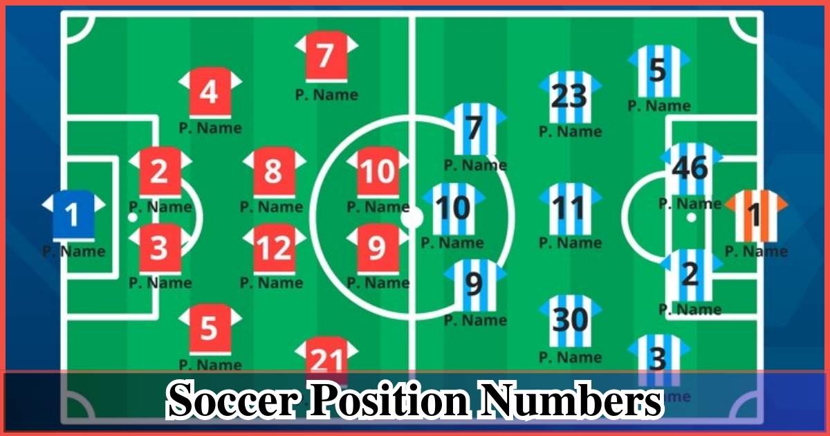 Soccer Position Numbers